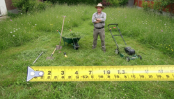 Only 7 cm… yet most gardeners still refuse to admit it Update