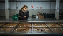 Why you should really avoid buying fish between Christmas and Latest Year’s Eve