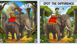 Spot the Difference Puzzle: Find 3 changes in boy riding elephant image