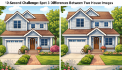 10-Second Puzzle: Find 3 Differences Between Two Home Photos
