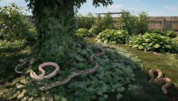 Experts reveal the garden plant you should never grow because it strongly attracts snakes and can turn your yard into a summer habitat for them